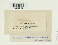 thumbnail image of current specimen