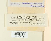 Image Associated With the Occurrence