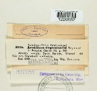 Image Associated With the Occurrence