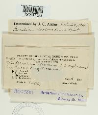 Image Associated With the Occurrence