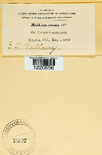 Image Associated With the Occurrence