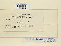 Image Associated With the Occurrence