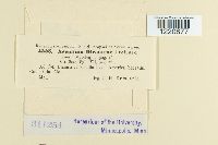 Image Associated With the Occurrence