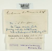 Image Associated With the Occurrence