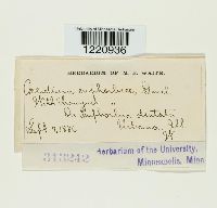 Image Associated With the Occurrence