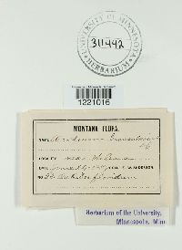 thumbnail image of current specimen