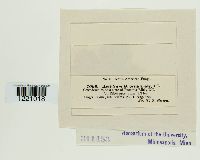 thumbnail image of current specimen
