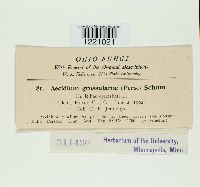thumbnail image of current specimen