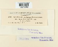 thumbnail image of current specimen