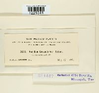 thumbnail image of current specimen