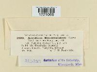 Image Associated With the Occurrence