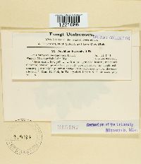 Image Associated With the Occurrence