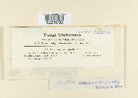 Image Associated With the Occurrence