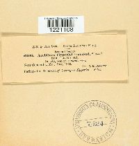 Image Associated With the Occurrence