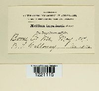 Image Associated With the Occurrence