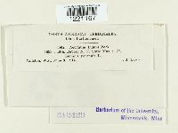 Media resource of Aecidium lupini