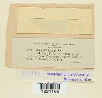 Media resource of Aecidium lycopi