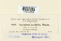 Image Associated With the Occurrence