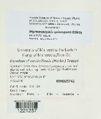 Image Associated With the Occurrence