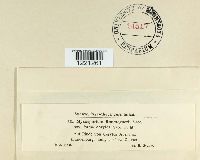 Image Associated With the Occurrence