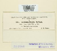 Aecidium peckii image