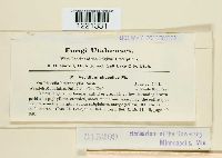 Image Associated With the Occurrence