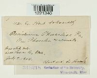 Image Associated With the Occurrence