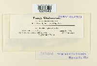 Image Associated With the Occurrence