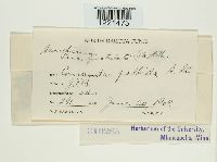 Image Associated With the Occurrence