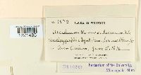 thumbnail image of current specimen