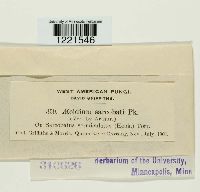 Image Associated With the Occurrence