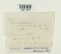 Image Associated With the Occurrence