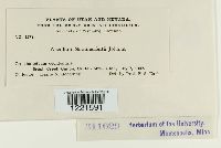 Image Associated With the Occurrence