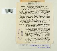 Image Associated With the Occurrence