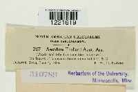 Image Associated With the Occurrence