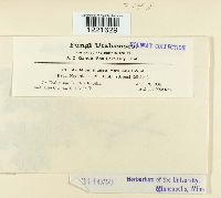 Image Associated With the Occurrence