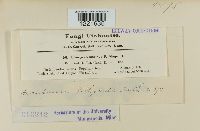 Image Associated With the Occurrence