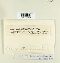 Image Associated With the Occurrence