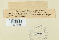 Image Associated With the Occurrence