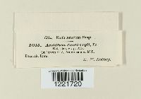 Aecidium xanthoxyli image