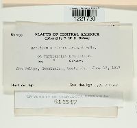 Image Associated With the Occurrence