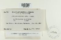 Image Associated With the Occurrence