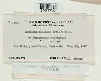 Image Associated With the Occurrence