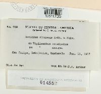 Image Associated With the Occurrence