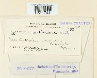 Image Associated With the Occurrence