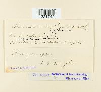 Image Associated With the Occurrence