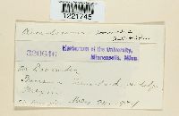 Image Associated With the Occurrence