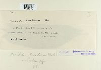 Image Associated With the Occurrence