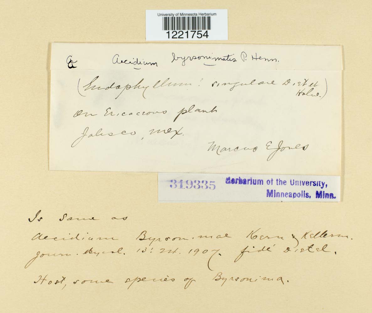 Aecidium byrsonimae image