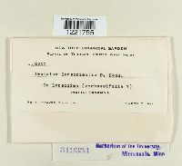 Image Associated With the Occurrence